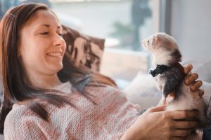 How To Take Care Of A Ferret for beginners