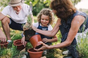 10 best Gardening Tips For Beginners