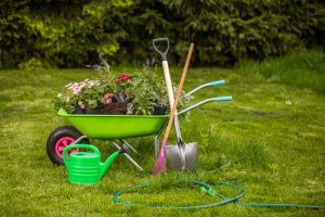 EsGardening Tools for Your Shed 