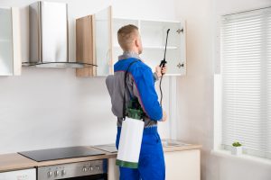 get rid of cockroaches from kitchen