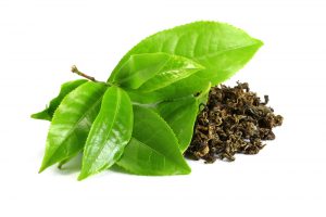 green tea origins