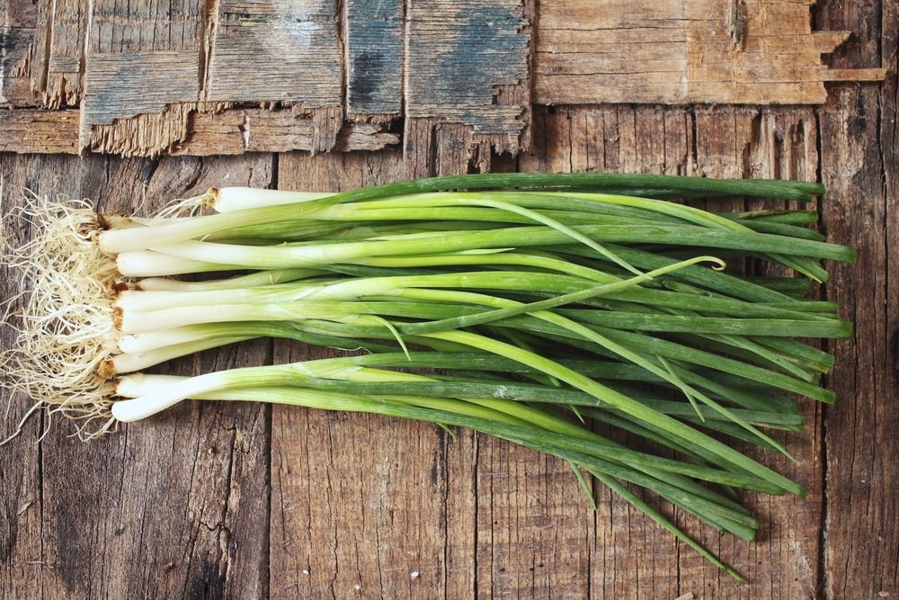 How To Grow Green Onions From Seed