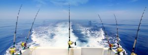 3 of the Best Marlin Fishing Destinations In The World
