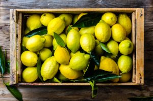 harvesting lemon trees